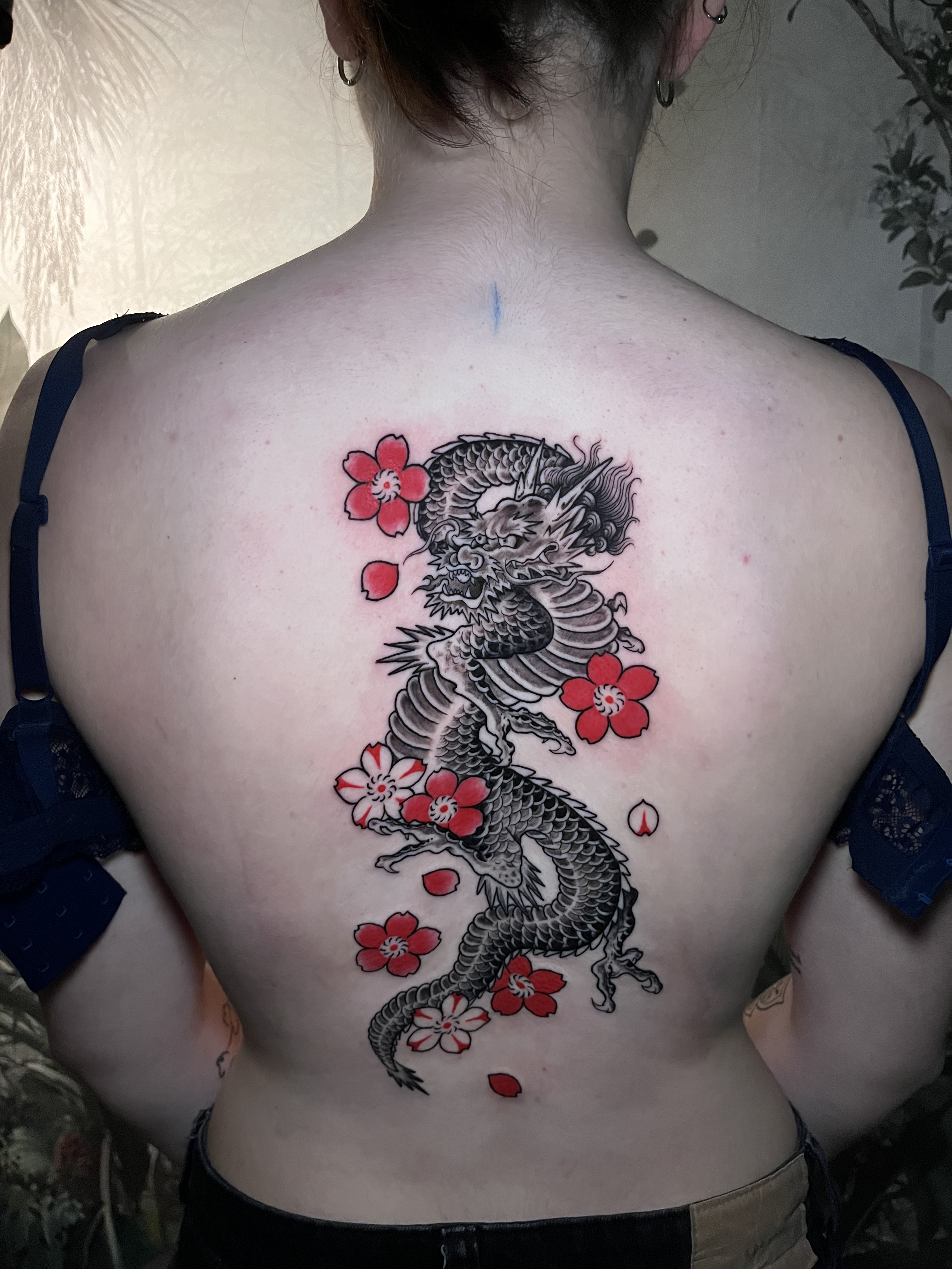 Japonés delicate rose