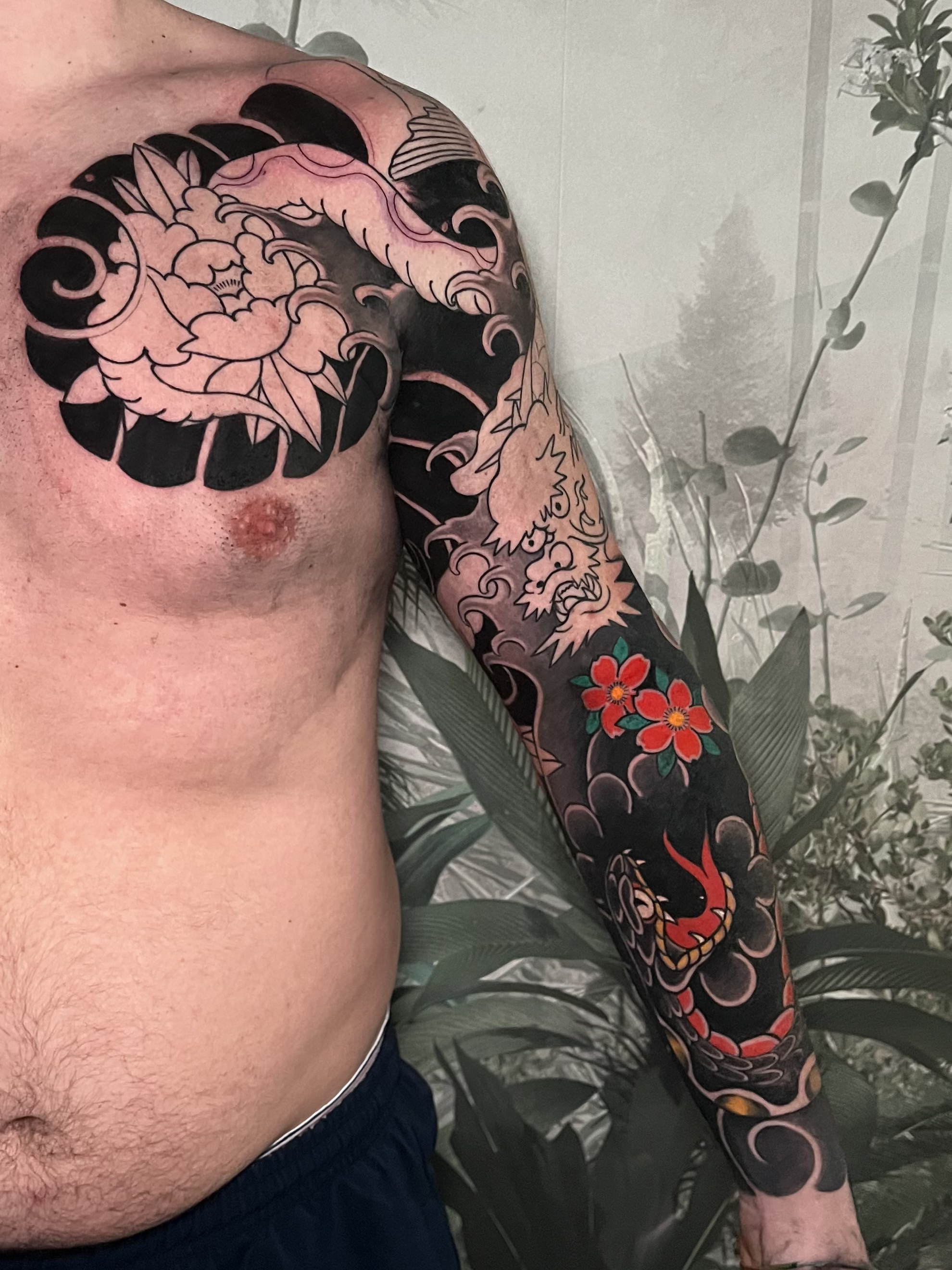 Japonés botanical illustration