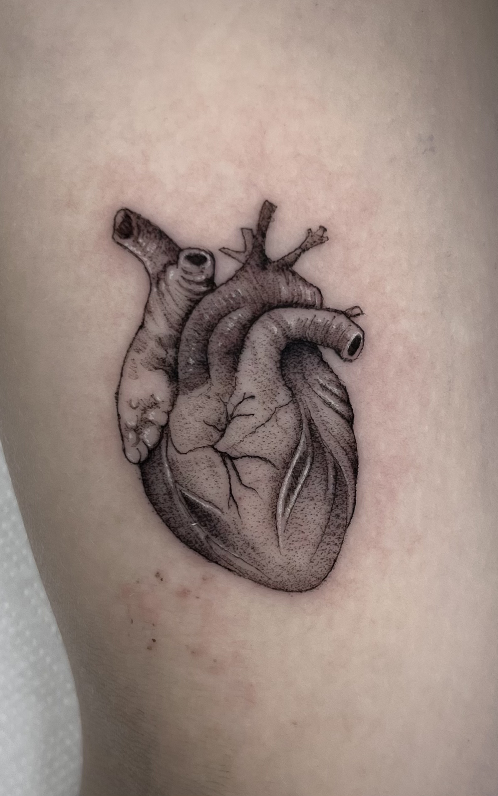 Microrealismo celestial design