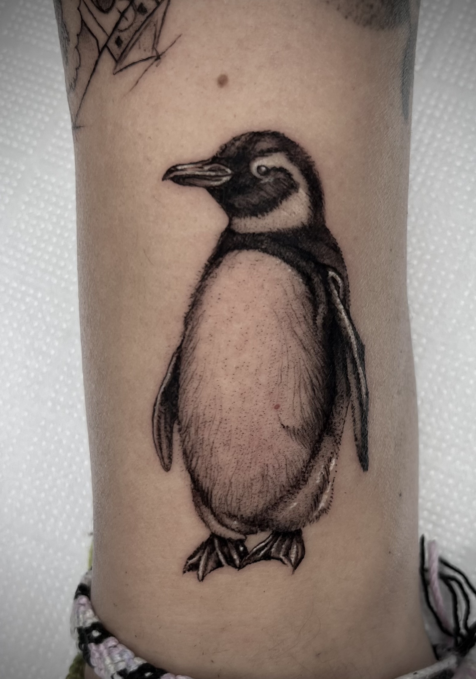 Microrealismo pieza 24