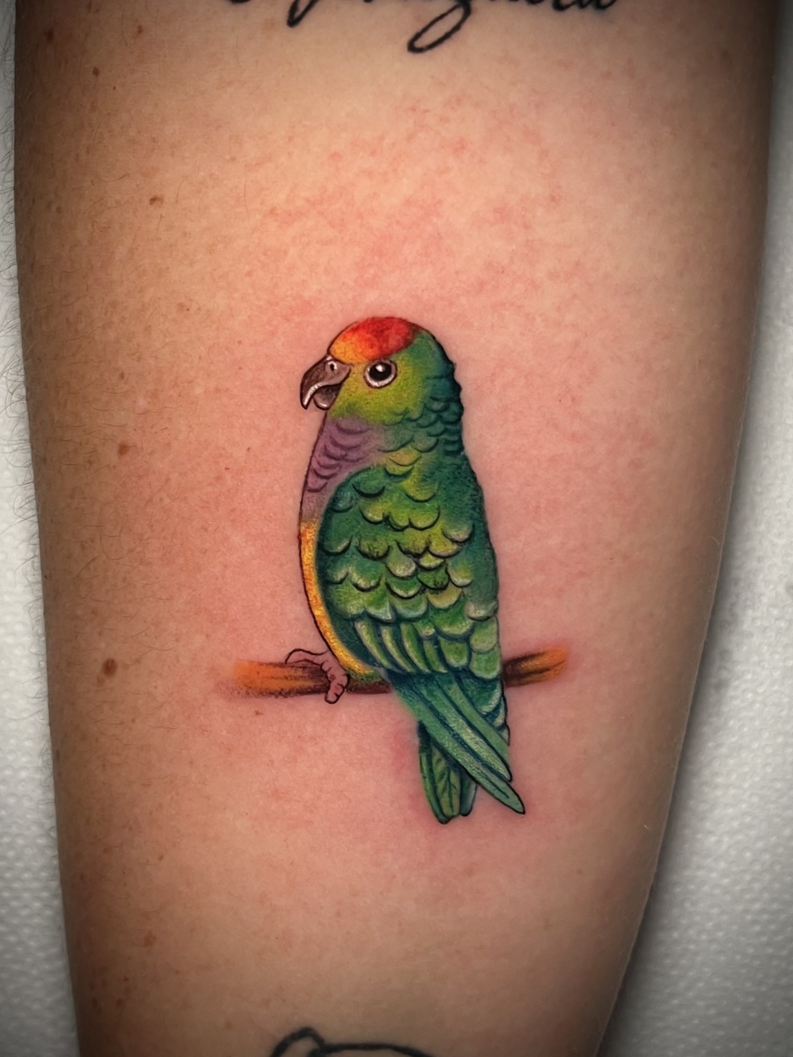 Microrealismo pieza 26