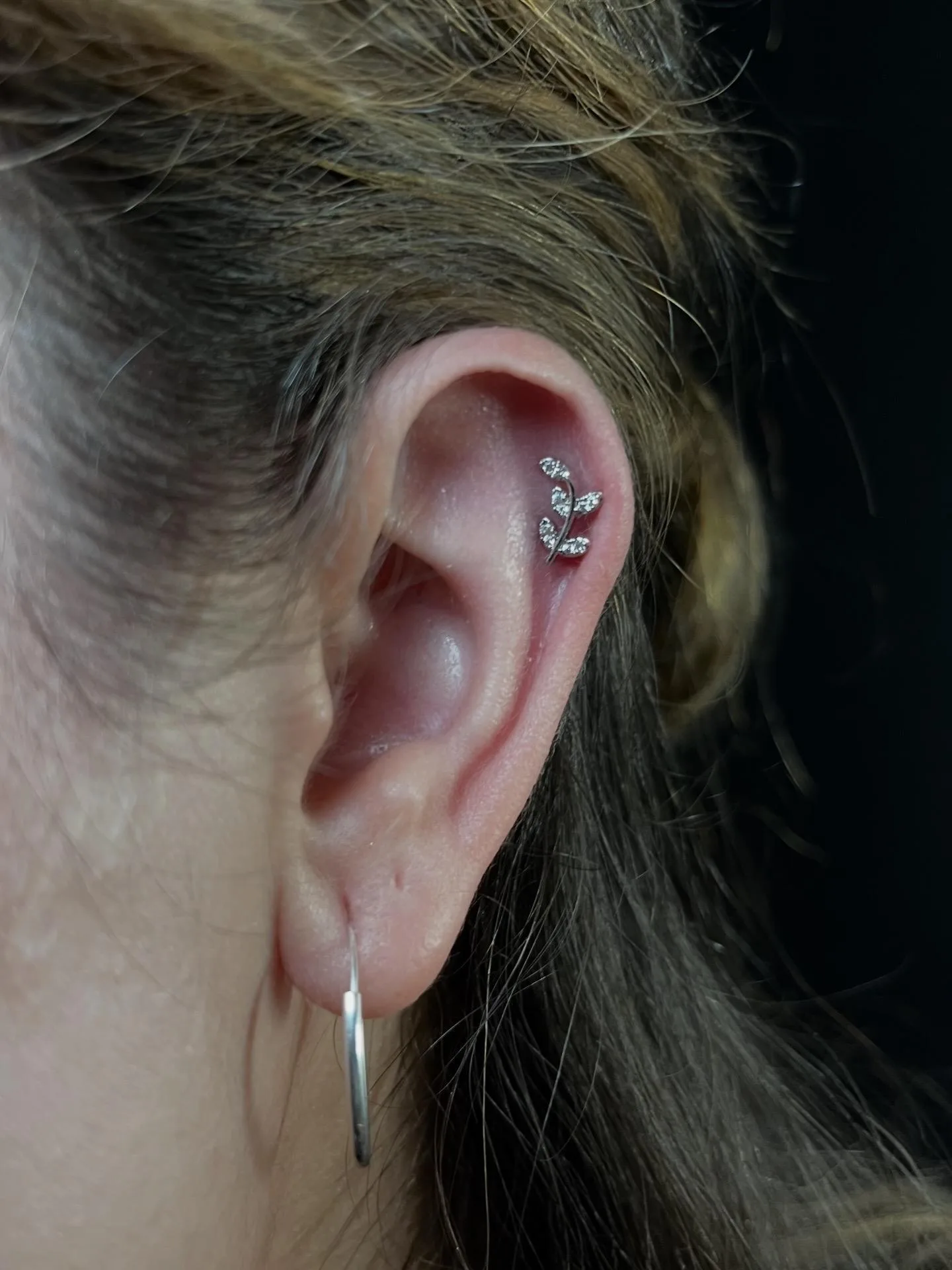 Piercing La Greka 2