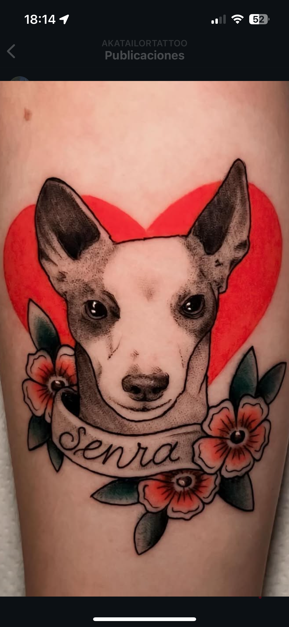 Tradicional botanical illustration