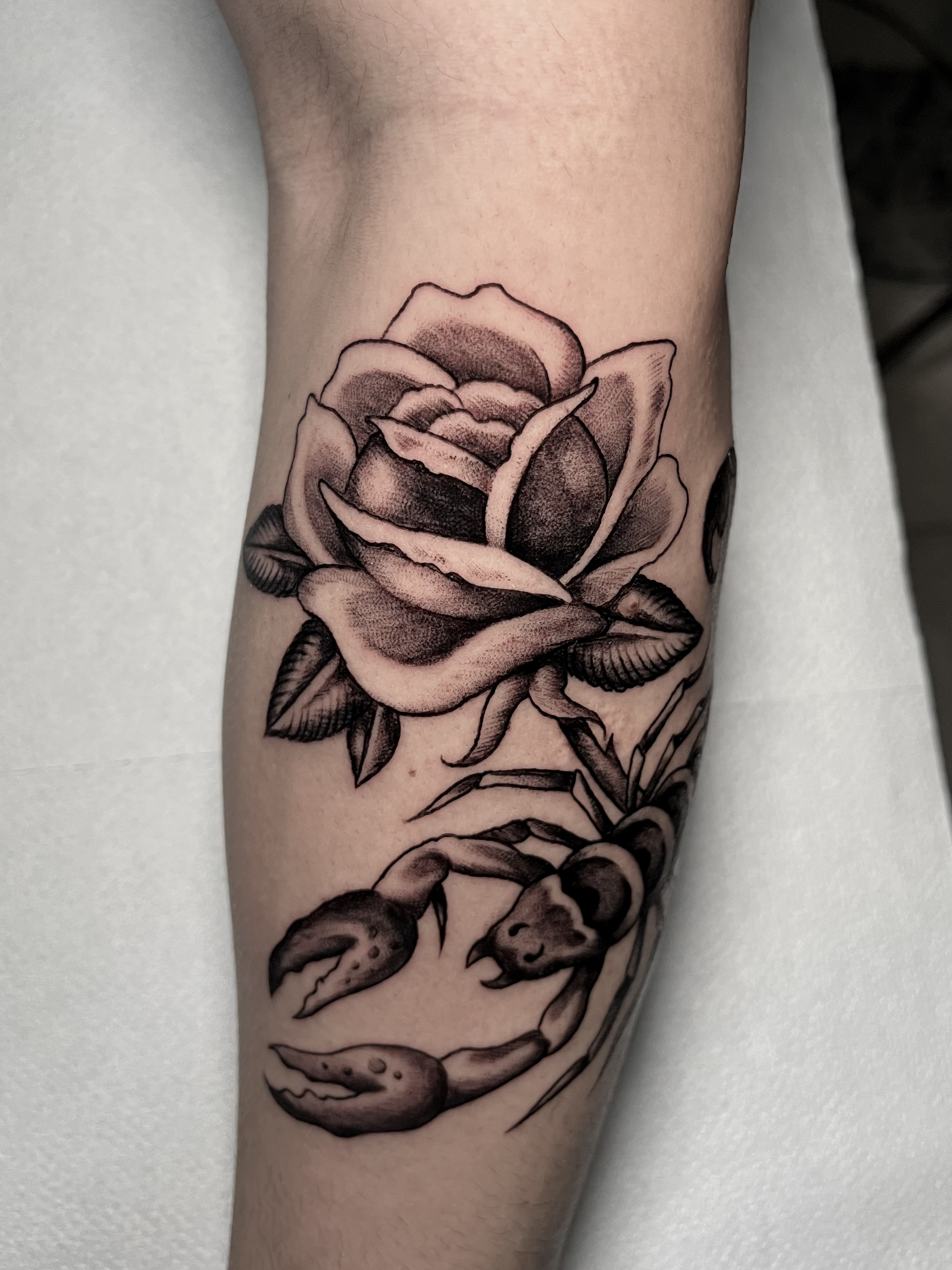 Tradicional wave pattern